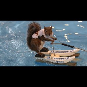 Meet your Posher, Rylan